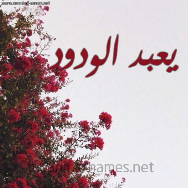 شكل 18 صوره الورد الأحمر للإسم بخط رقعة صورة اسم يعبد الودود Abdel-Wadood